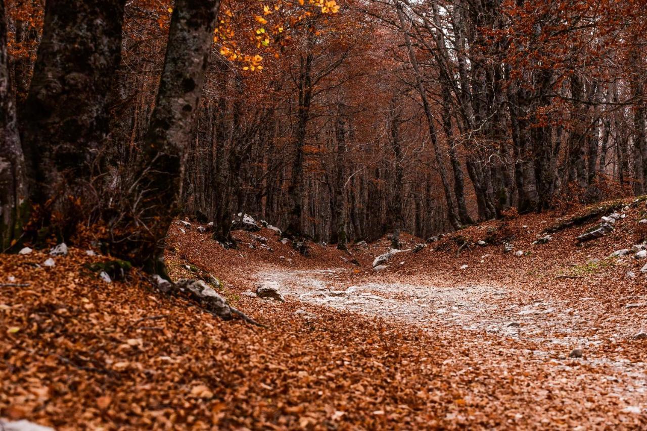 Appartamento A Campo Felice - Treeffe Collimento Exteriér fotografie