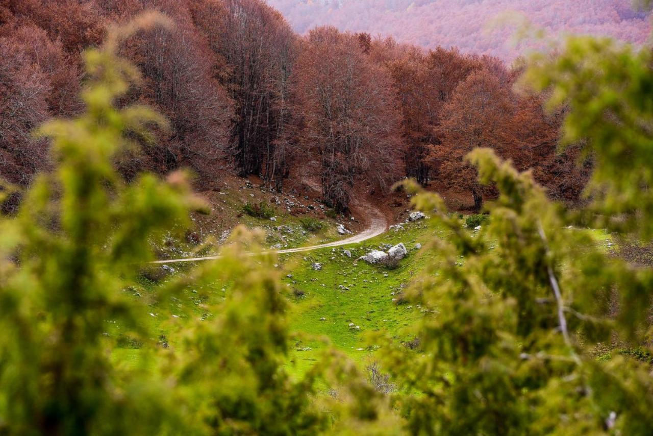 Appartamento A Campo Felice - Treeffe Collimento Exteriér fotografie